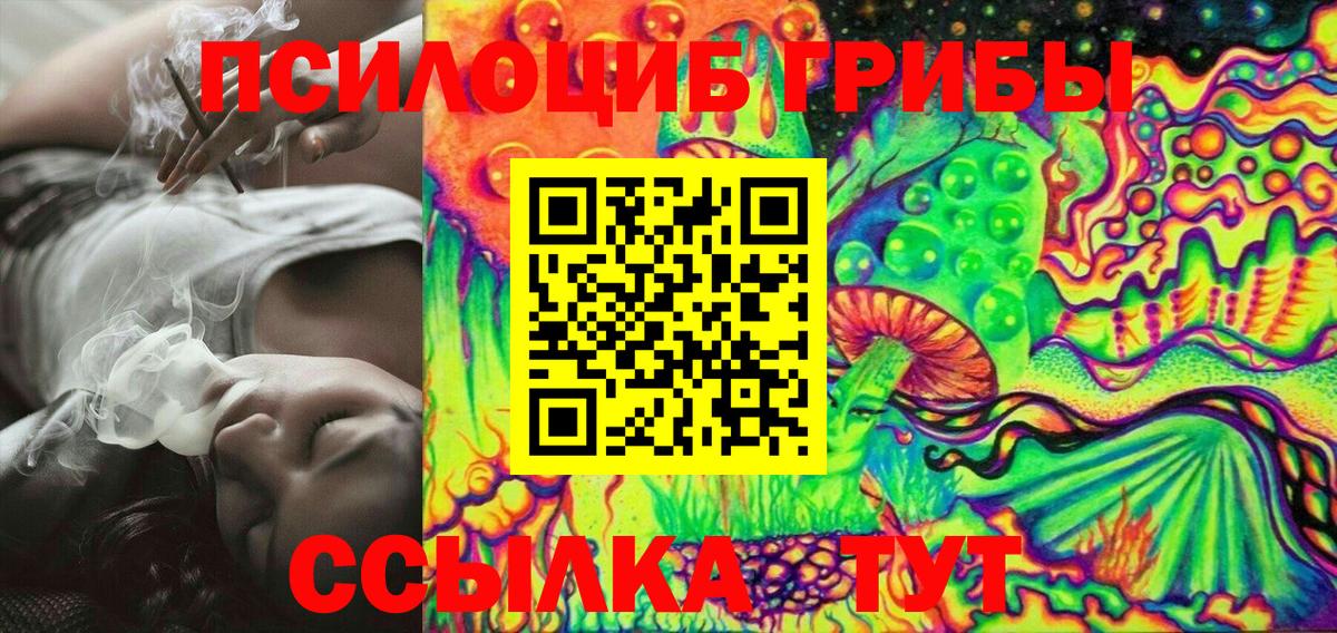 Галлюциногенные грибы Psilocybe Волжск