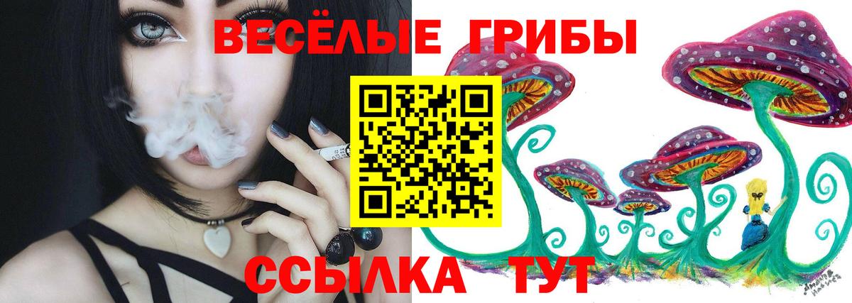Волжск  Галлюциногенные грибы Psilocybe  наркота  Вход с VPN 