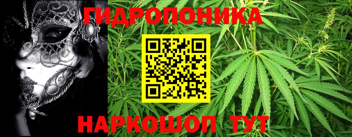 Бошки марихуана семена  Бошки Шишки индика  Волжск  Вход с VPN 
